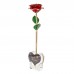 SAFETYON 24K Gold Foil Eternal Rose