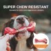 FOCUSPET Non-Toxic Beef Flavor Rubber Teeth Cleaning Toy for Dogs