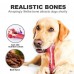 FOCUSPET Non-Toxic Beef Flavor Rubber Teeth Cleaning Toy for Dogs
