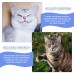 LIUMY Electric Fish Toy for Cats with A Pouch of Catnip LIUMY Electric Fish Toy for Cats with A Pouch of Catnip