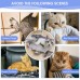 LIUMY Electric Fish Toy for Cats with A Pouch of Catnip LIUMY Electric Fish Toy for Cats with A Pouch of Catnip