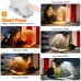 AMBOTHER 5 Color Modes Wireless LED Clamp Desk Lamp AMBOTHER 5 Color Modes Wireless LED Clamp Desk Lamp